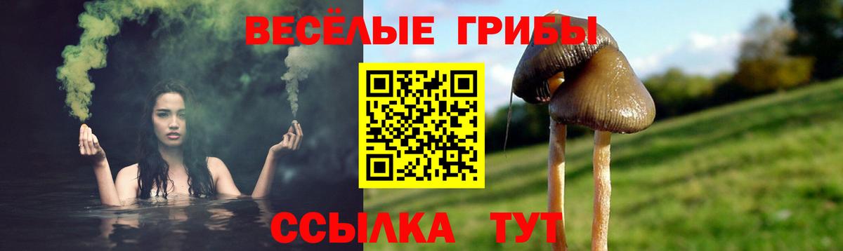 Кстово  Галлюциногенные грибы Psilocybe  Вход с VPN  Псилоцибиновые грибы Psilocybe 
